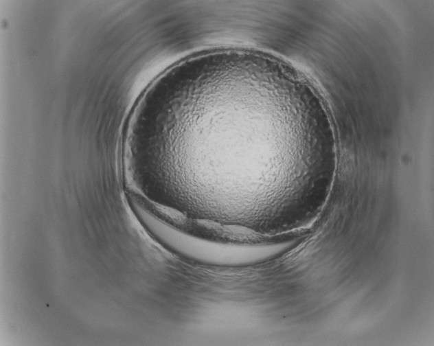 X0000087381295200704271548