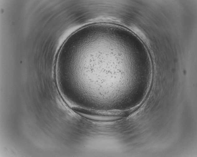 X0000087381296200704271548