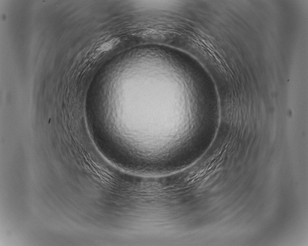 X0000087381297200704271547