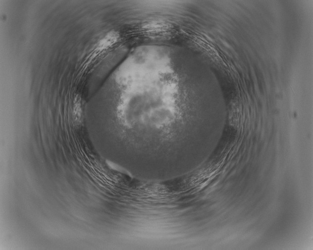 X0000087381298200704271547