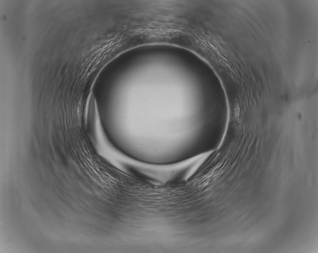 X0000087381300200704271547