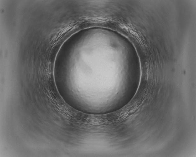 X0000087381301200704271547