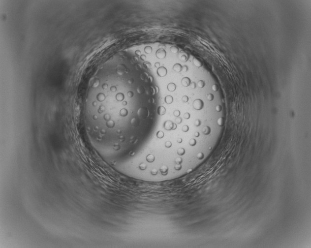 X0000087381302200704271547