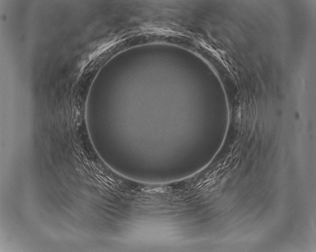 X0000087381303200704271547