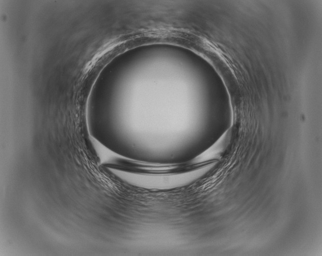 X0000087381304200704271547