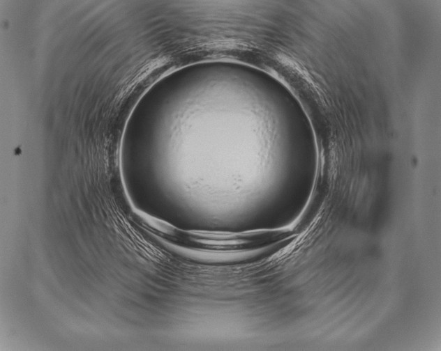 X0000087381305200704271547