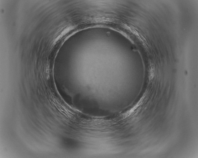 X0000087381306200704271547