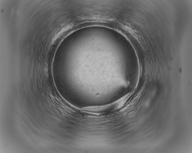 X0000087381307200704271547