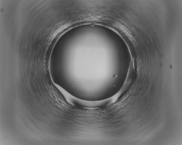 X0000087381308200704271547