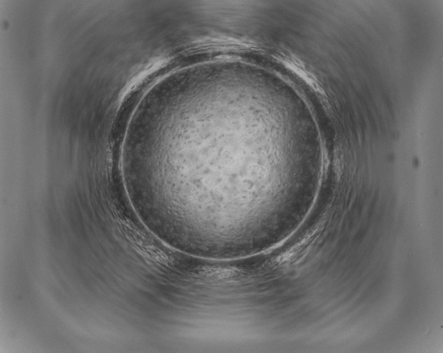 X0000087381309200704271547