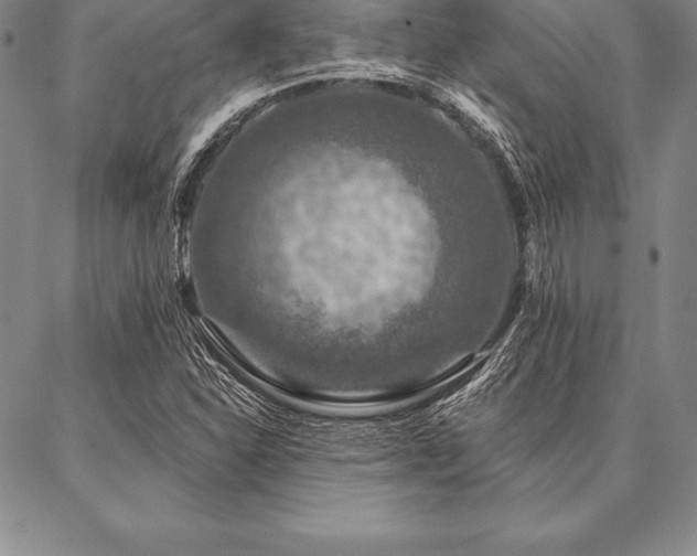 X0000087381310200704271547