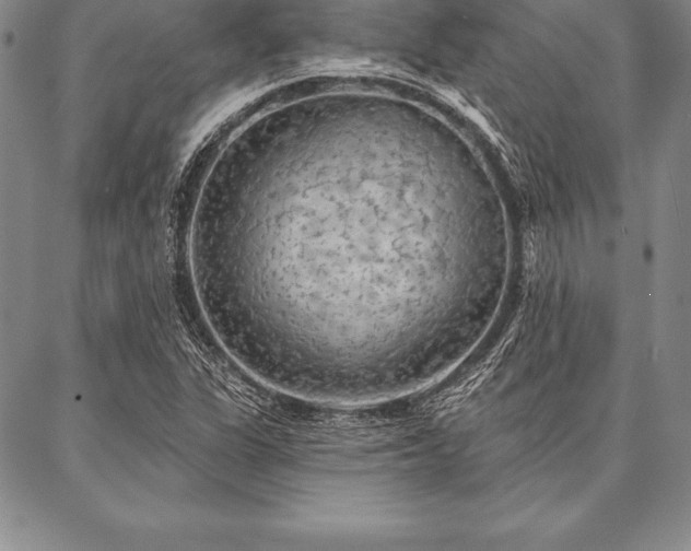 X0000087381311200704271547