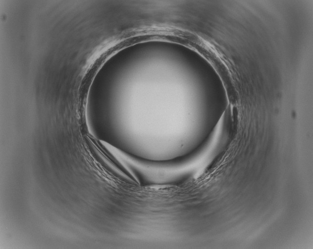 X0000087381312200704271547