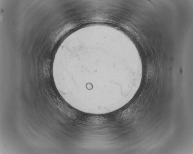 X0000087381314200704271547