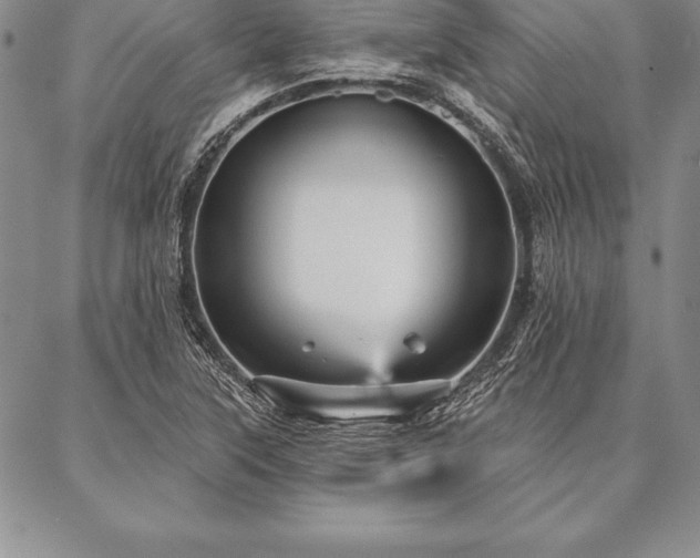 X0000087381315200704271547