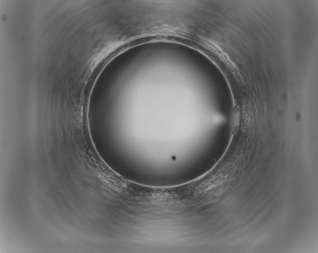 X0000087381316200704271547