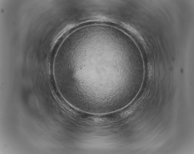 X0000087381318200704271547