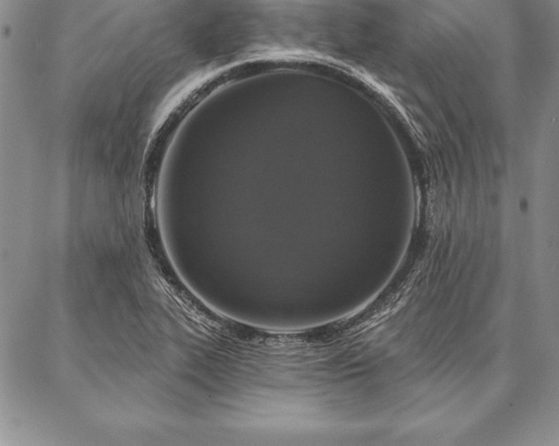 X0000087381319200704271547