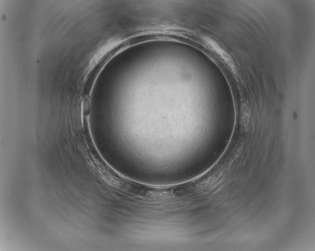 X0000087381320200704271547