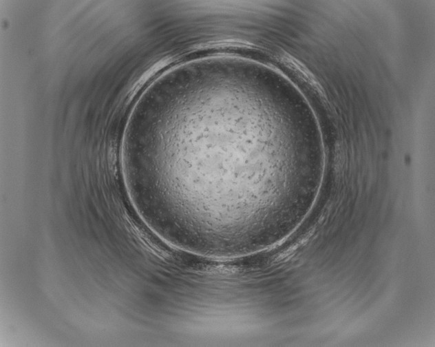 X0000087381321200704271547