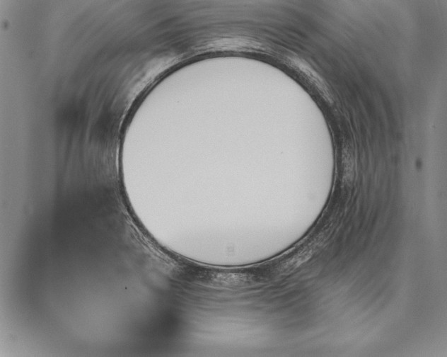 X0000087381322200704271547