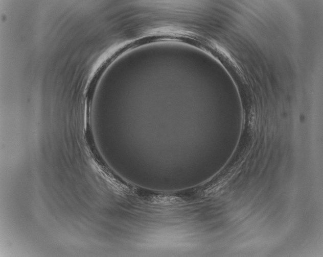 X0000087381323200704271547