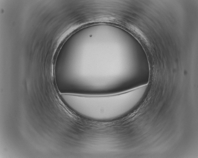 X0000087381324200704271547