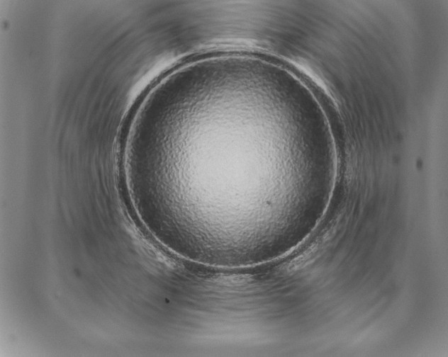 X0000087381325200704271547