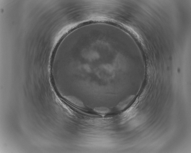 X0000087381327200704271547