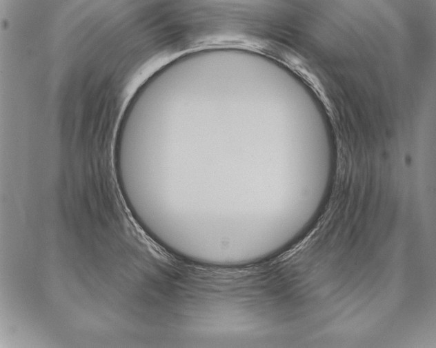 X0000087381328200704271547