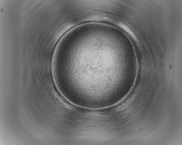 X0000087381329200704271547