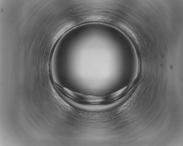 X0000087381330200704271547