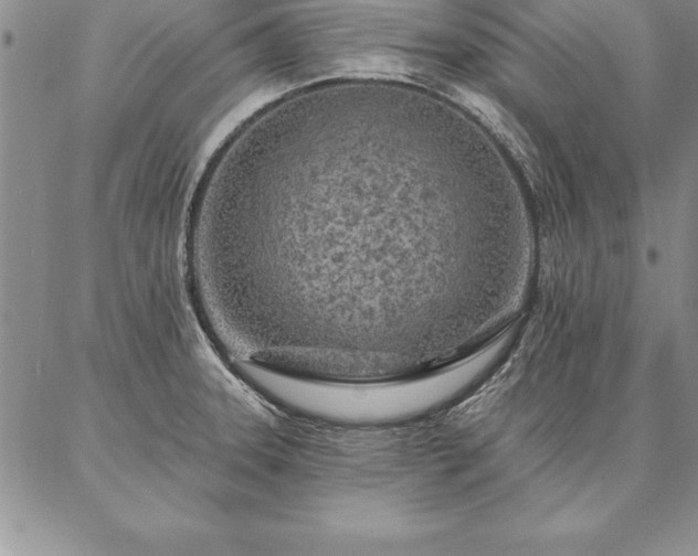 X0000087381331200704271547