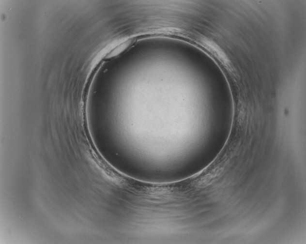 X0000087381332200704271547