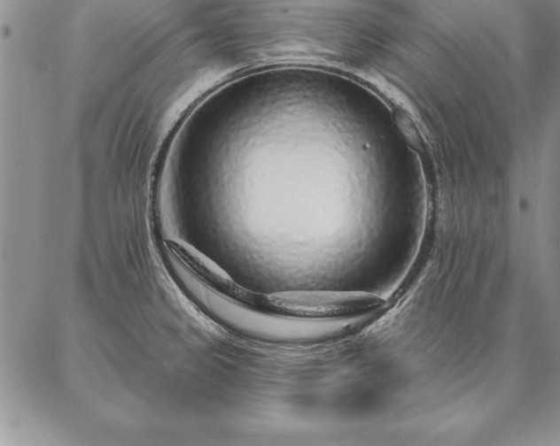 X0000087381333200704271547