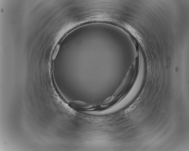 X0000087381334200704271547