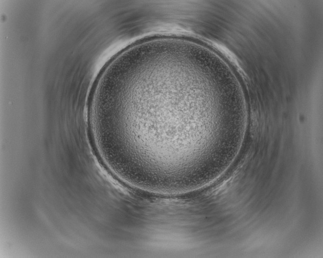 X0000087381335200704271547