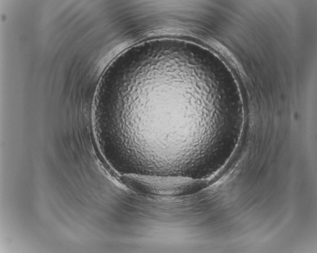 X0000087381337200704271548