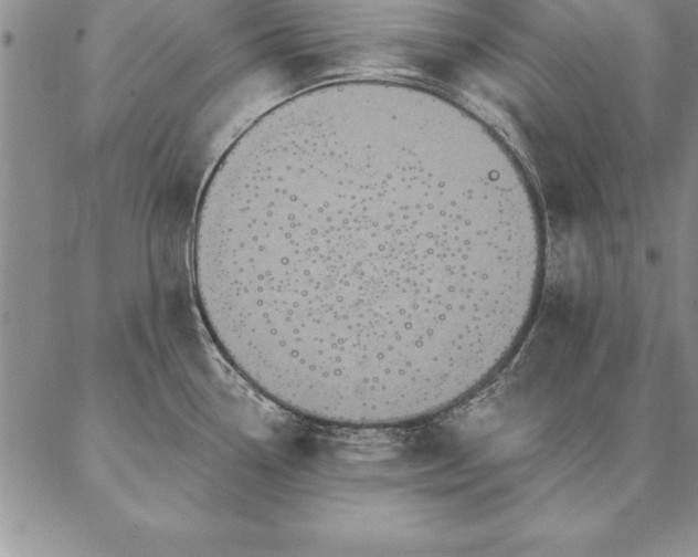 X0000087381338200704271548