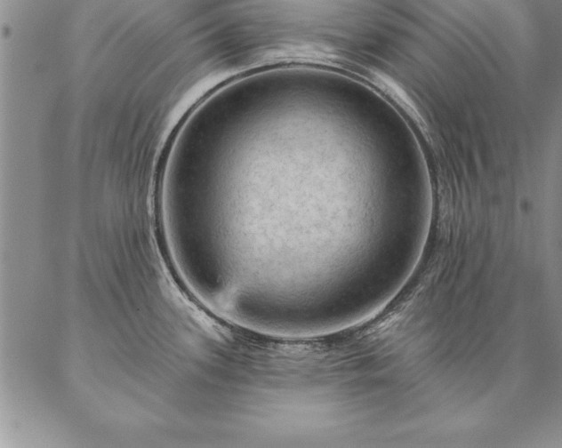 X0000087381339200704271548