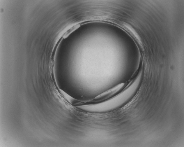 X0000087381340200704271548