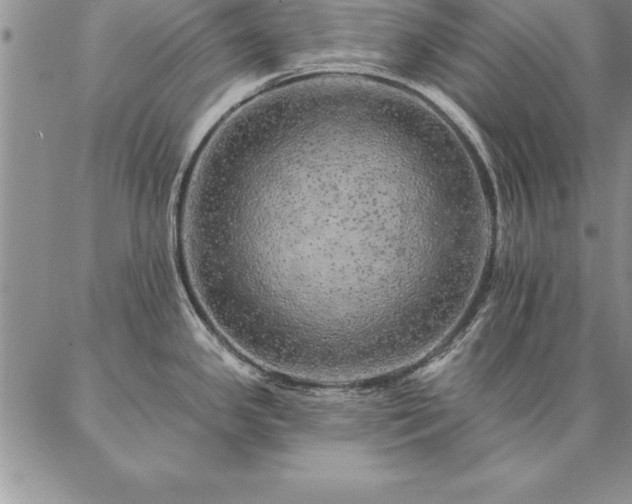 X0000087381341200704271548