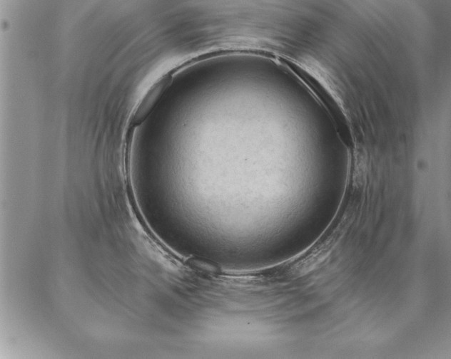 X0000087381342200704271548