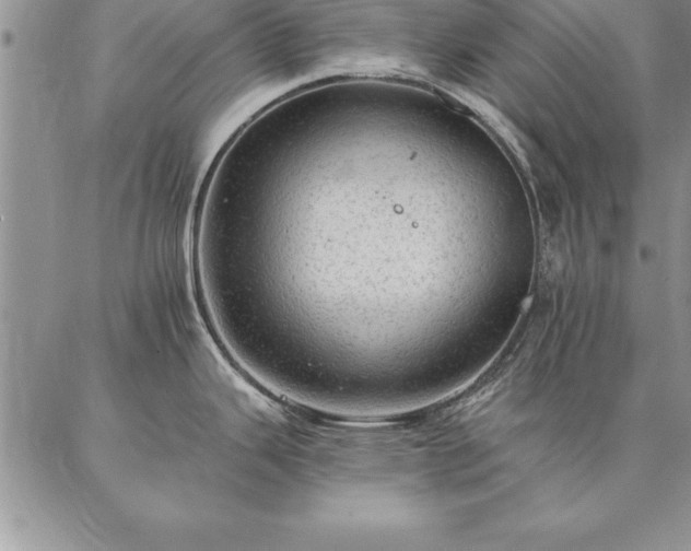 X0000087381343200704271548