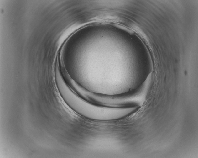 X0000087381344200704271548