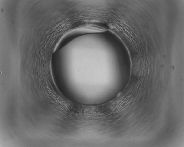 X0000087381345200704271547