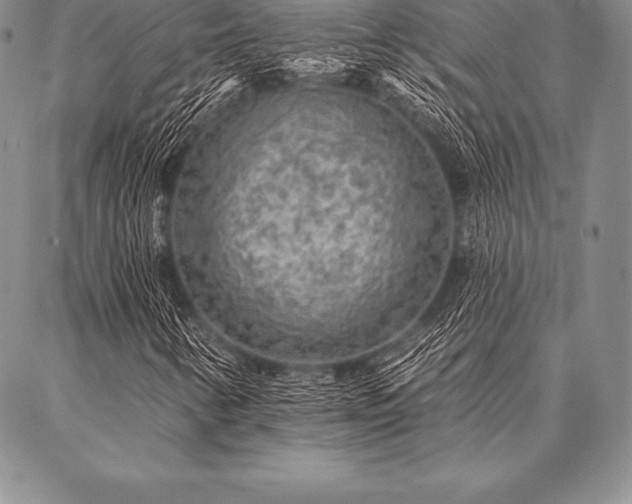 X0000087381346200704271547