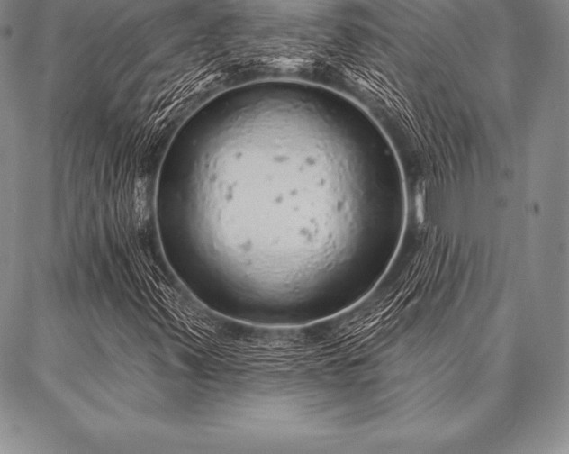 X0000087381347200704271547