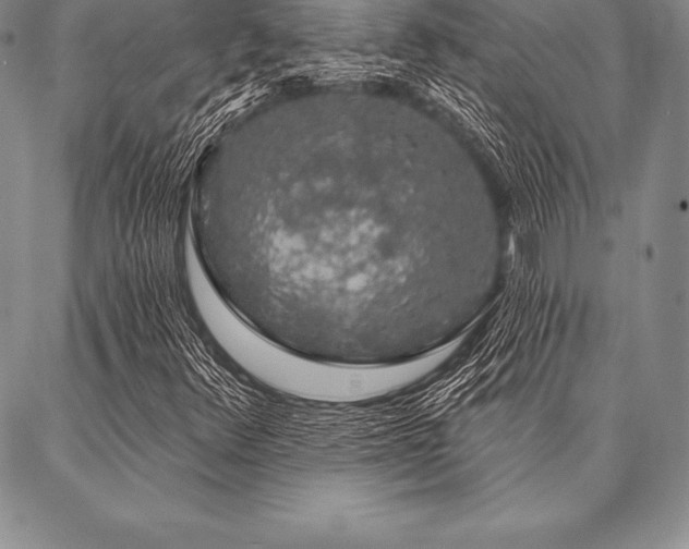 X0000087381348200704271547