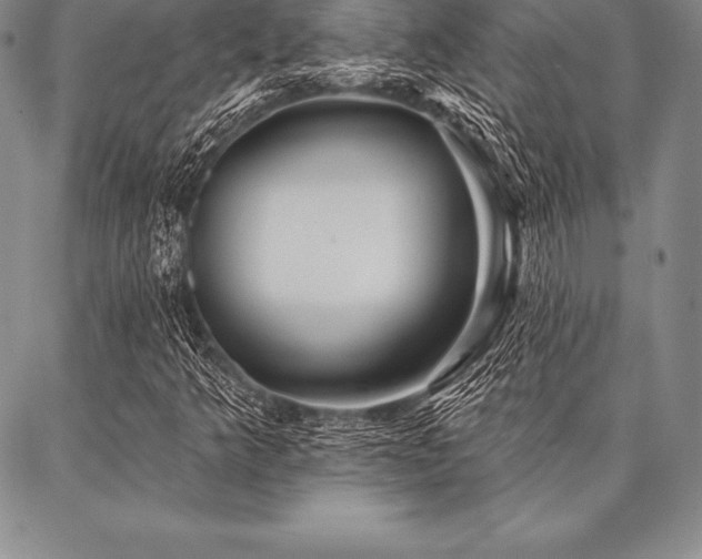 X0000087381349200704271547